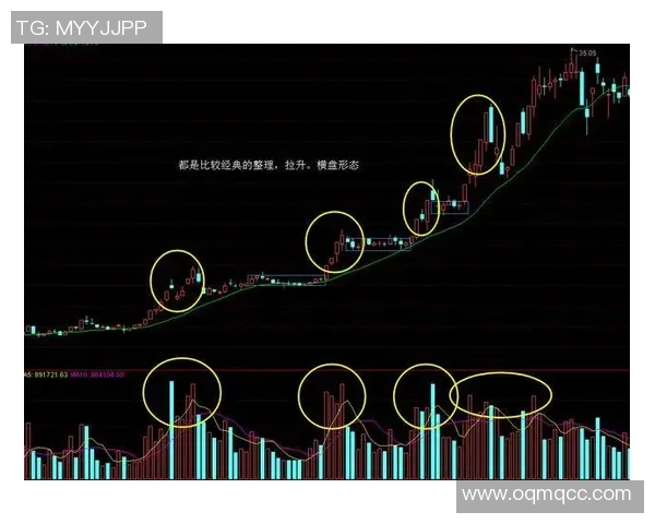 深圳排球队包夹战术的创新与发展全景解析